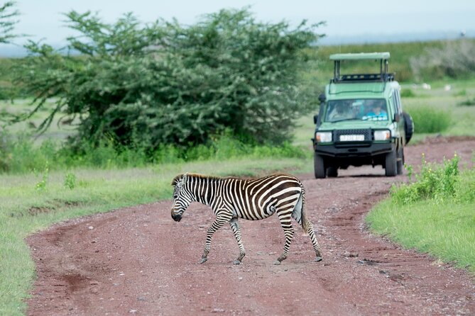 4 Days Adventure Camping Safari - Wildlife Encounters