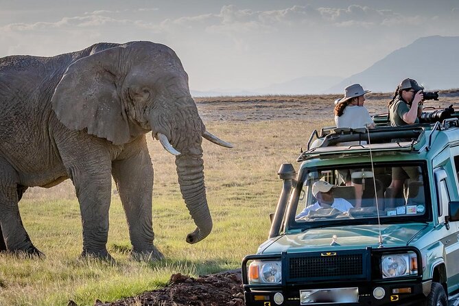 4 Days Awesome Luxury Safari Tarangire Serengeti & Ngorongoro - Itinerary Highlights