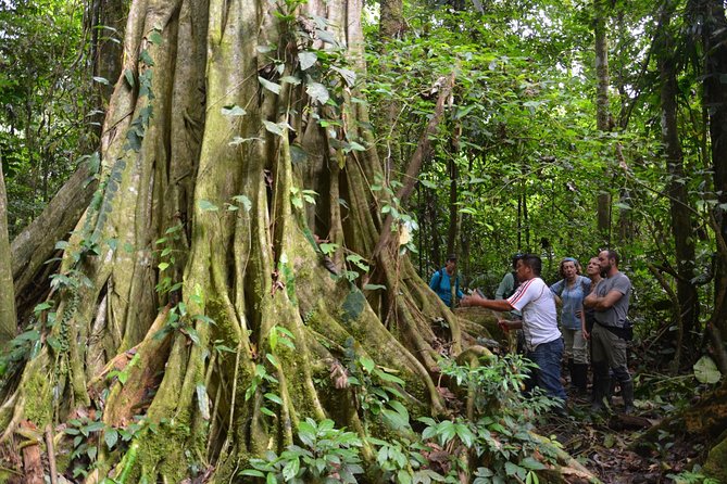4 Days Cuyabeno Amazon Experience - Meeting and Pickup