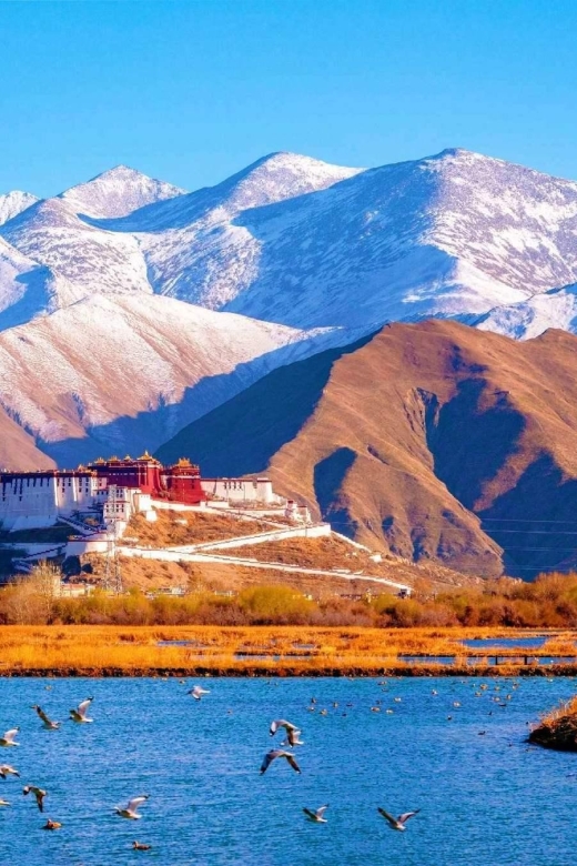 4 Days Lhasa City Essence Tour - Itinerary Highlights