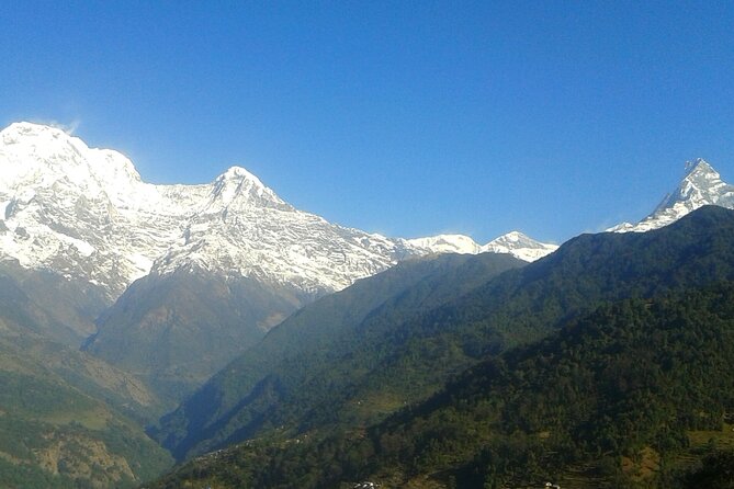 4 Days Mardi Himal Base Camp Trekking in Pokhara - Detailed Itinerary