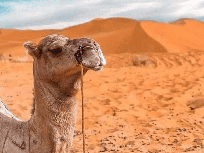 4 Days Marrakech to Merzouga