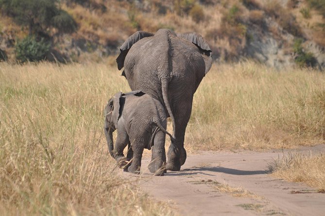 4 Days Tanzania Group Safari to Serengeti, Crater and Tarangire - Safari Inclusions
