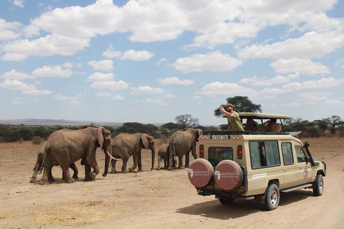 4 Days Tarangire Serengeti Ngorongoro Crater - Day 1: Tarangire National Park
