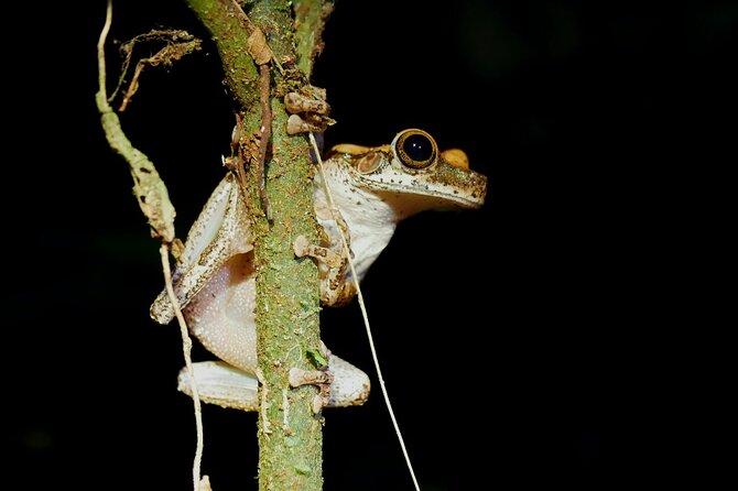 4 Days Tour to Tambopata National Reserve - Itinerary and Highlights