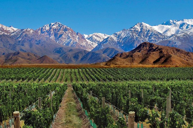 4-Days Trip to Mendoza and The Andes - Discovering Mount Aconcagua