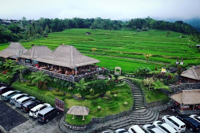 4-Hour Private Tour in Jatiluwih Terraces and Butterfly Park - Whats Included