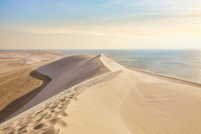 4 Hour Qatar Desert Safari Tour - Itinerary Highlights