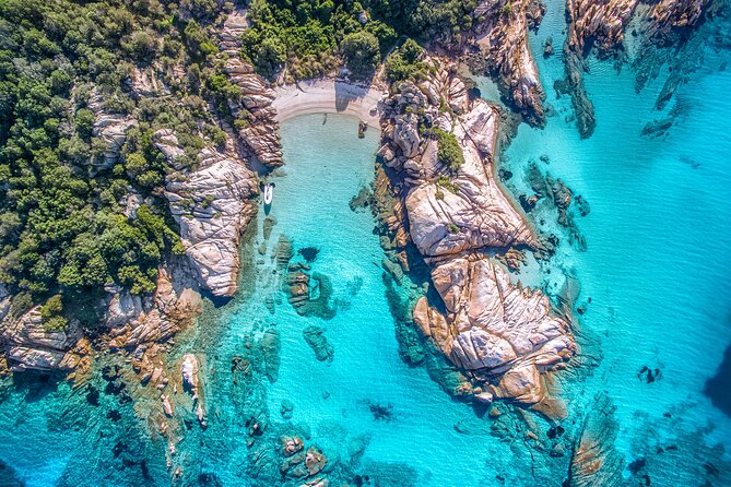 4 Hours Snorkeling With Guide in the Marine Protected Area of Tavolara - Traveler Photos