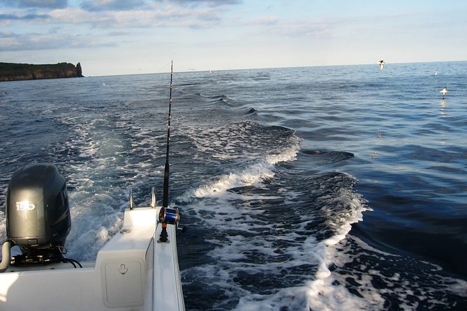 4h Half-Day Amazing Private Coastal Fishing - Tour Details