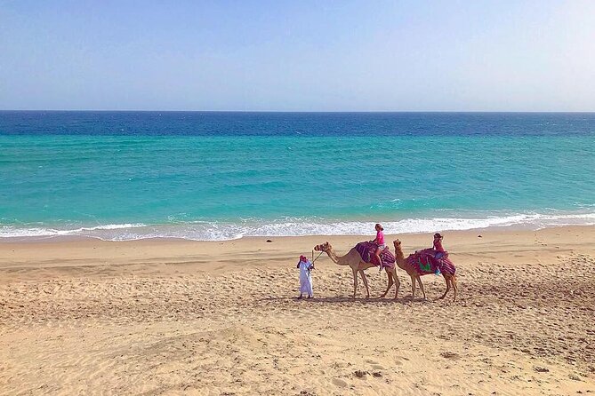 4hr Desert Safari: Sunset,Sunrise,Camel,Sand Boarding,Inland Sea - Dune Bashing Experience