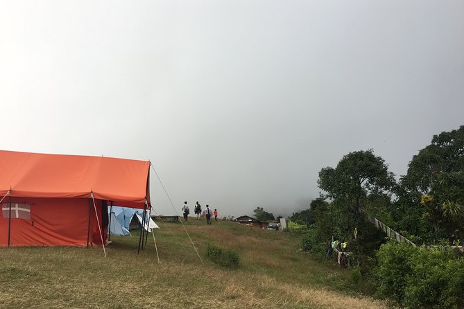 4WD Drive to Dhampus and Easy Hiking to Australian Camp From Pokhara - Itinerary Highlights