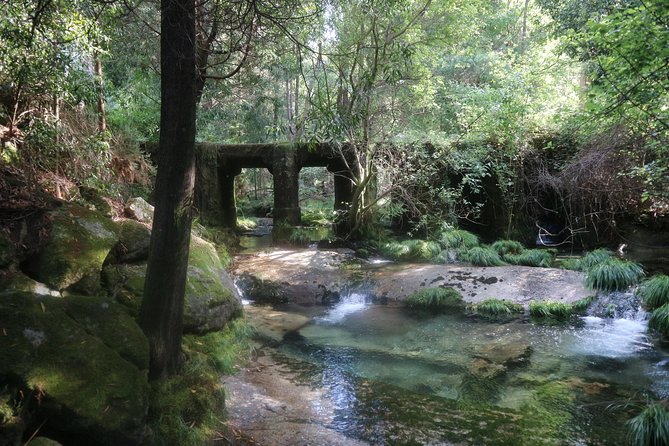 4X4 Tour - Discovering Serra D'arga - Wildlife Encounters and Lagoons