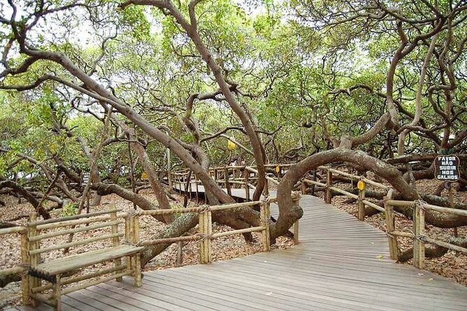 4x4 Tour on the South Coast of Natal - Tour Itinerary and Costs