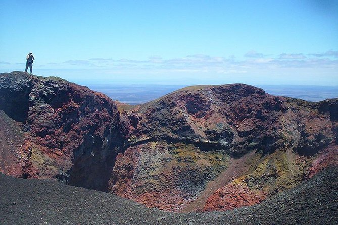5-Day All-Inclusive Galapagos: Isabela and Santa Cruz Island - Arrival and Transfer to Islands