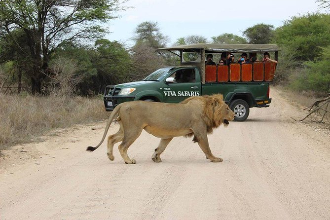 5 Day Classic Kruger National Park Safari - Wildlife Spotting Opportunities