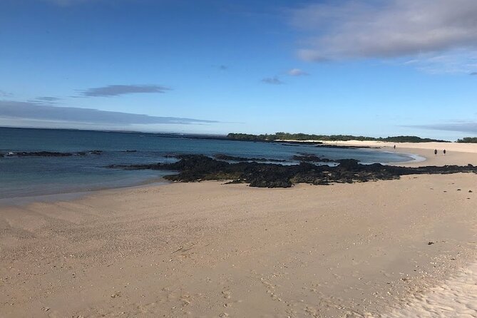 5-Day Galapagos Luxury: Santa Cruz, Isabela, With Local Flight and Snorkeling - Included Experiences and Amenities