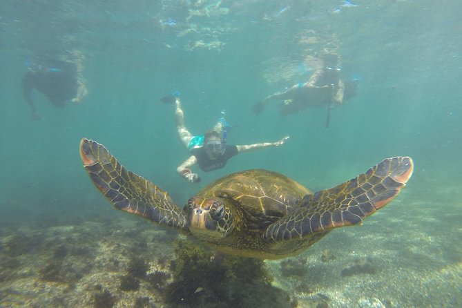 5-Day Galapagos Multisport: Biking, Hiking, and Snorkeling - Inclusions and Costs