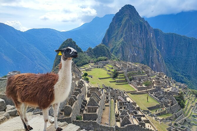 5-Day Machu Picchu Private Guided Historical and Cultural Tour - Inclusions