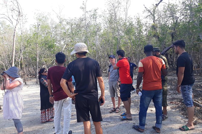 5-Day Sundarban Tour: The Wild Life Adventure - Itinerary Overview