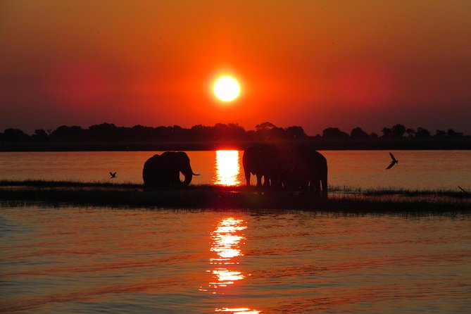 5-Day Victoria Falls and Chobe Tour From Victoria Falls - Inclusions and Accommodations