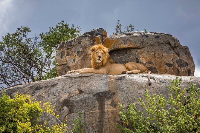 5 Days Budget Private Safari, Tanzania - Day 1: Tarangire National Park