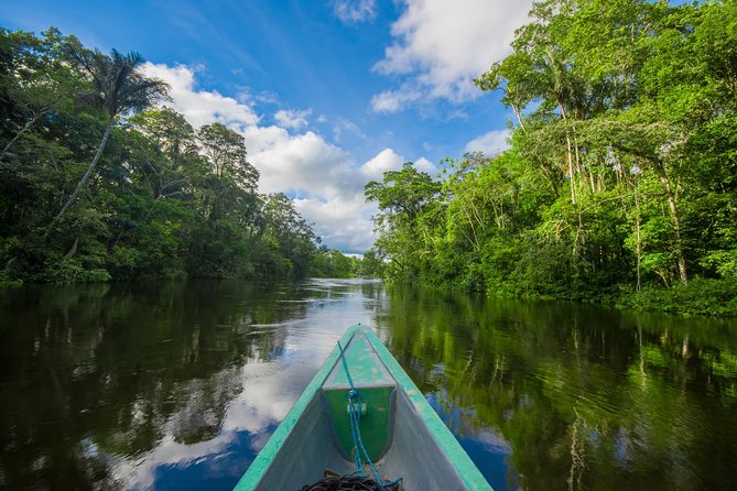 5 Days Cuyabeno Wildlife Reserve Adventure - Accommodation and Inclusions