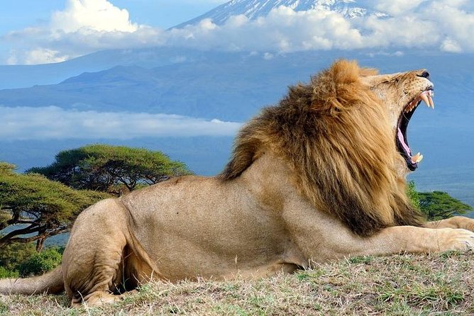 5 Days Maasai Mara, Lake Nakuru, Samburu Private Lodge Safari - Wildlife Encounters
