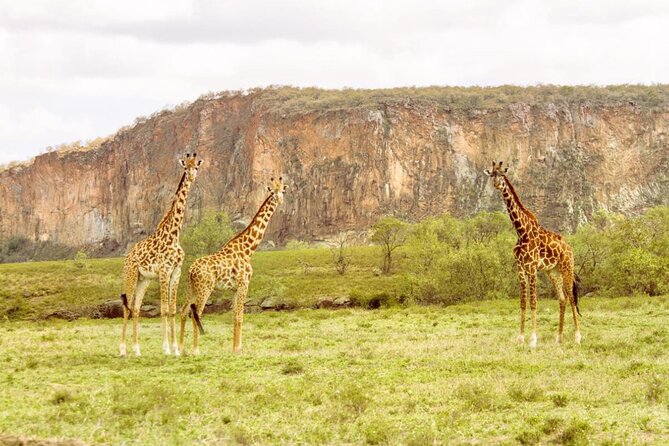 5 Days Masai Mara, Lake Nakuru & Naivasha Budget Joining Safari - Detailed Itinerary