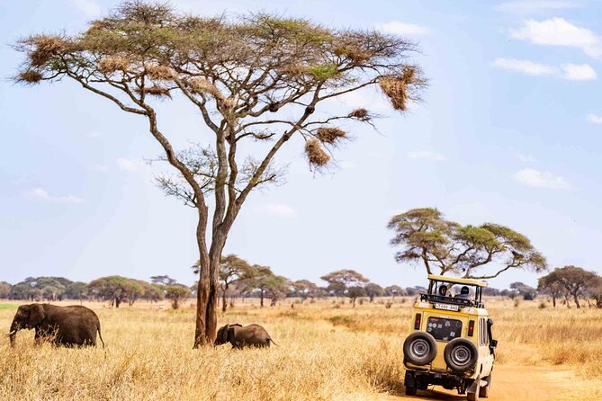 5 Days Private Tarangire, Serengeti, Ngorongoro, Manyara Safaris - Highlights of Each Park