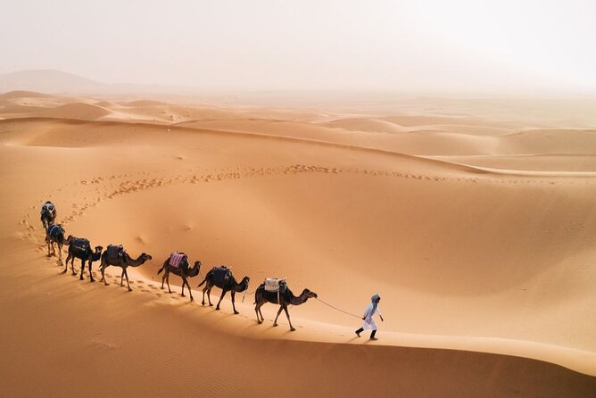 5 Days Sahara Desert Tour From Casablanca & Night In Luxury Camp - Detailed Itinerary Breakdown