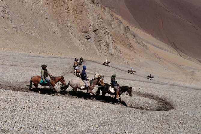 6-Day Andes Crossing From Mendoza to Chile by Horse - Horses and Guides