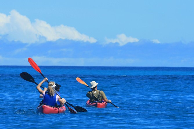 6-Day Galapagos Island Hopping: Kayaking, Mountain Biking and Volcano Hike - Kayaking Through Secluded Coves