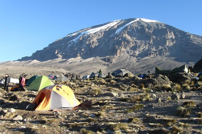 6-Day Kilimanjaro Umbwe Route–Steep,Adventurous, Challenging Path - Challenges and Physical Requirements