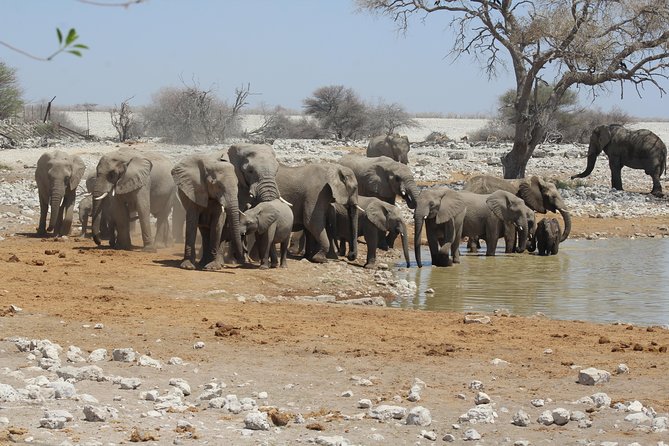6 Day Private Guided Accommodated Namibian Loop - Itinerary Highlights