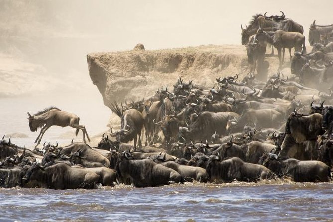 6 Days 5 Nights Lodge Safari Tarangire, Manyara, Serengeti & Ngorongoro Crater - Pricing and Inclusions