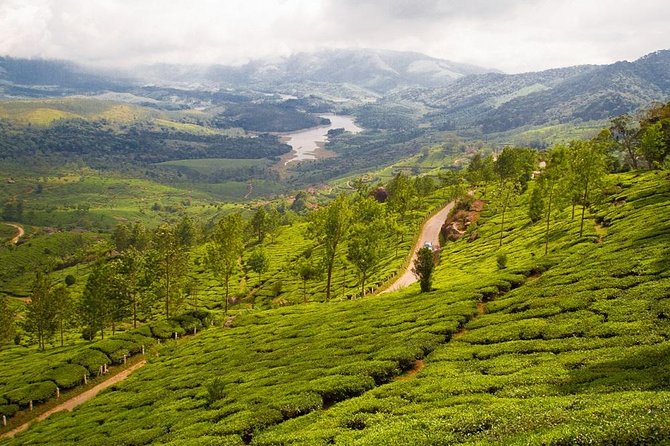 6 Days Private Tour Kerala Natural Retreat - Exploring Periyar Wildlife