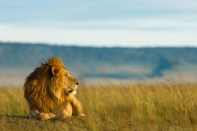 6 Days Tanzania Budget Camping Safari - Day-by-Day Itinerary
