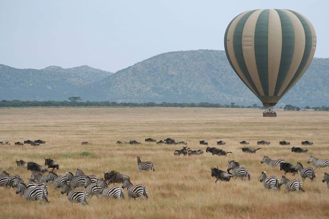 6 Days Tanzania Classic Safari - Itinerary Highlights