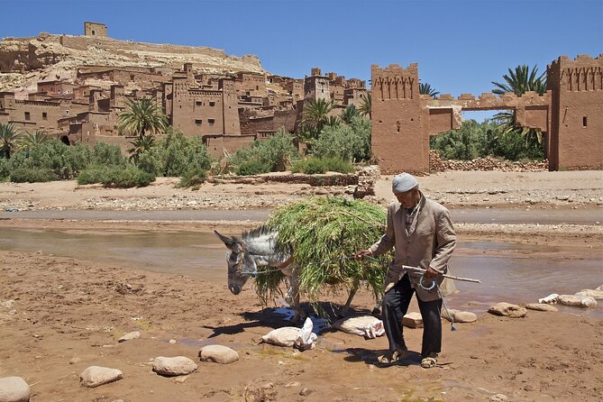 6 Days Tour From Casablanca to Marrakech via Imperiale Cities and Sahara Desert - Accommodation and Meals