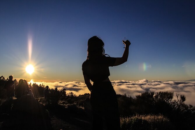 6-Hour Tour With Observation of the Stars 1242 With Lunch - Pricing and Discounts