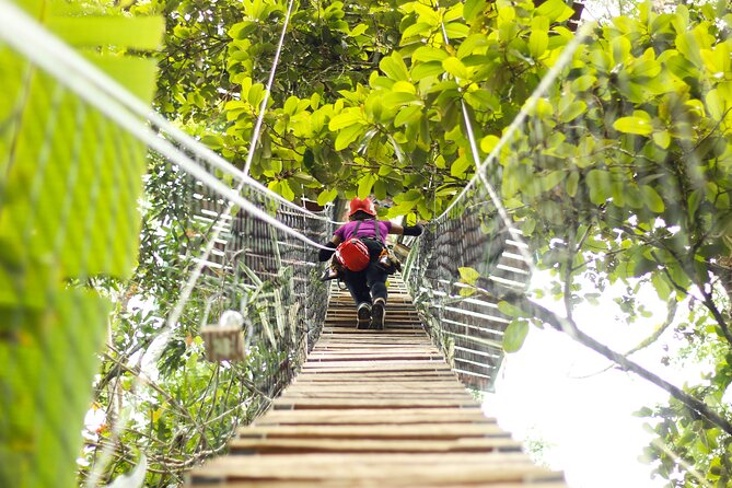 60M Tree Climbing Experience With Descent in Tarzan or Rapel - Location and Adventure