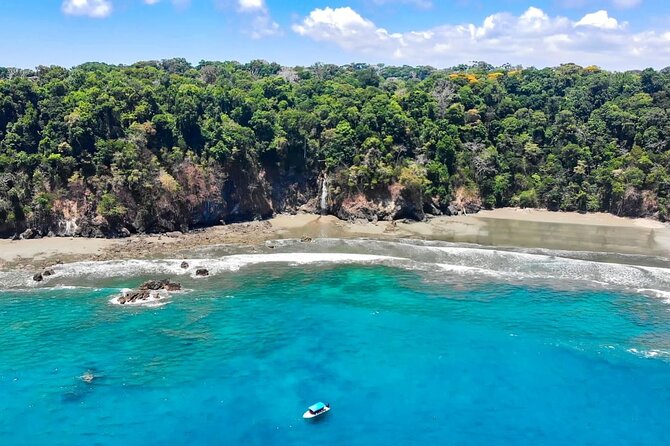 7 Day Adventure and Wildlife Tour in Drake Bay and Osa - Wildlife and Nature Experiences