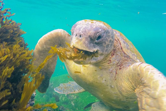 7-Day Galapagos Essentials - Meeting and Transportation