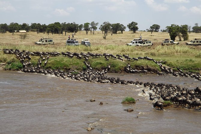 7-Day Great Migration Safari - Accommodation Options