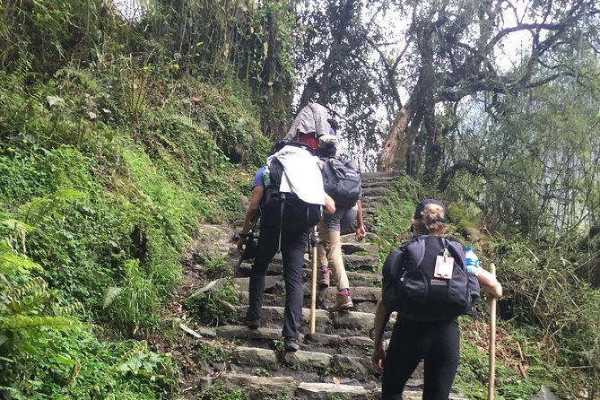 7 Days Annapurna Base Camp Trek From Pokhara - Inclusions and Exclusions