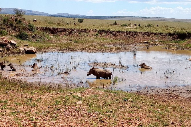 7 Days Maasai Mara, Lakes Nakuru, Naivasha & Amboseli Group Tour - Exploring Lake Nakuru and Naivasha
