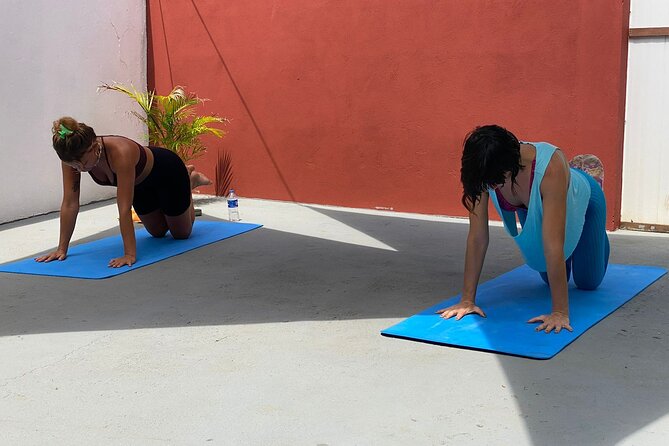 7 Days Yoga & Meditation Retreat Bahia Brazil - Accommodation and Meals