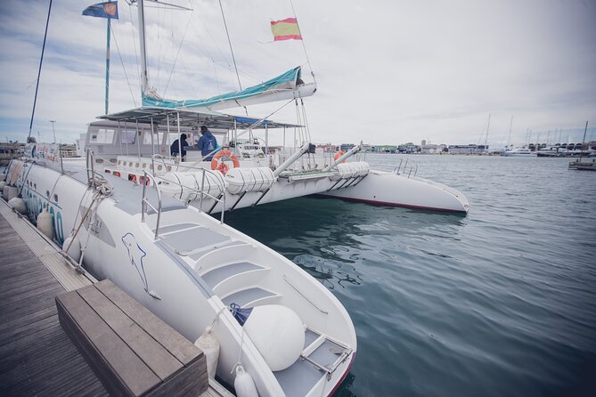 A Day at Sea Aboard Mundo Marino Catamaran in Valencia - Amenities and Accessibility Features
