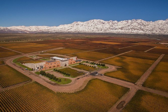 A Day in "Clos De Los Siete": - Guided Tour Highlights